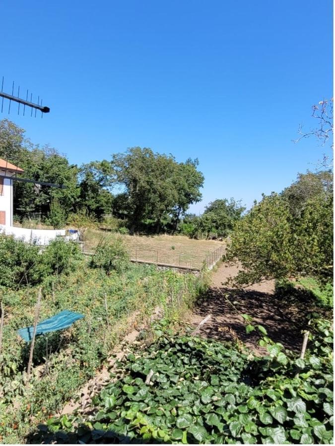 Luna D'Agerola Exteriér fotografie
